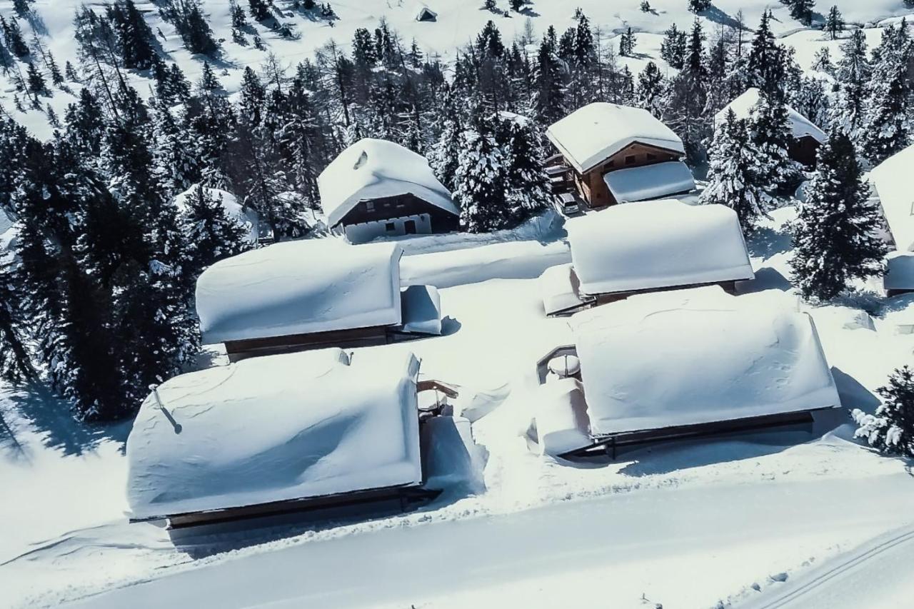 Heidi Chalets Falkert Heidialm - Chalets Bergwinter Patergassen Buitenkant foto